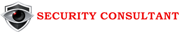 security consultant logo 3